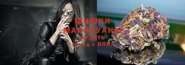 крисы Аркадак