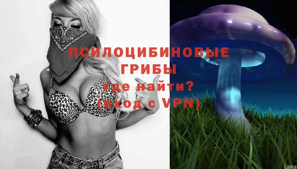 каннабис Арсеньев