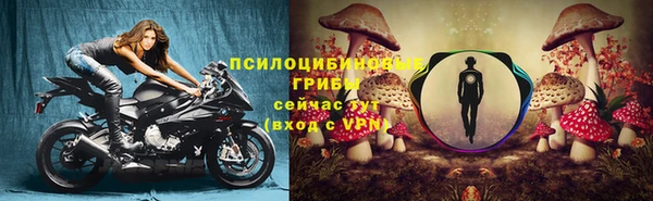 крисы Аркадак